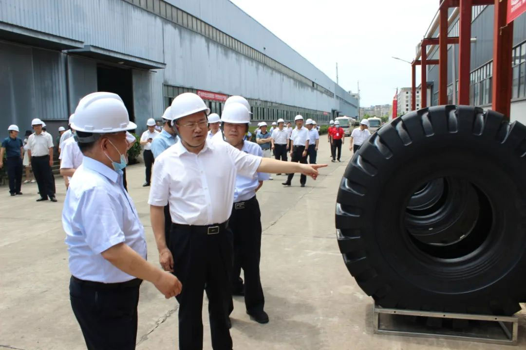 wu-jin-deputy-secretary-and-mayor-of-huangshi-visited-aulices-phase-ii-project-for-investigation3.jpg