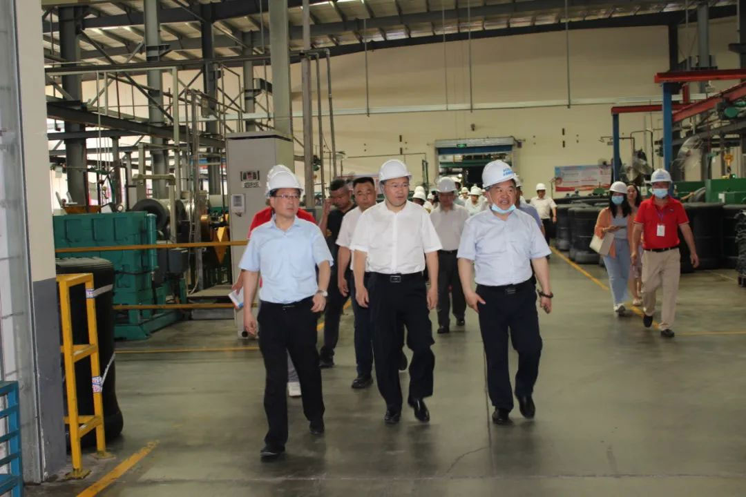 wu-jin-deputy-secretary-and-mayor-of-huangshi-visited-aulices-phase-ii-project-for-investigation4.jpg